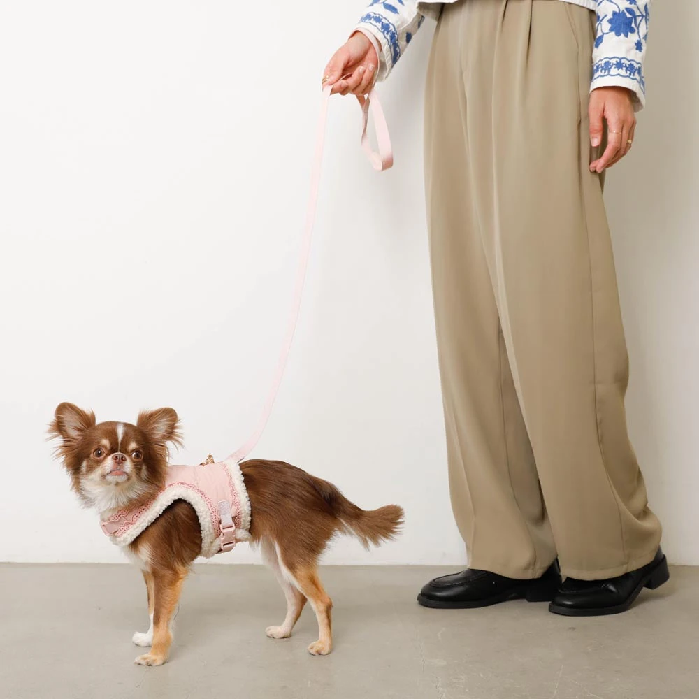 キャバリア 服 サイズ - cavalier dog clothing faq