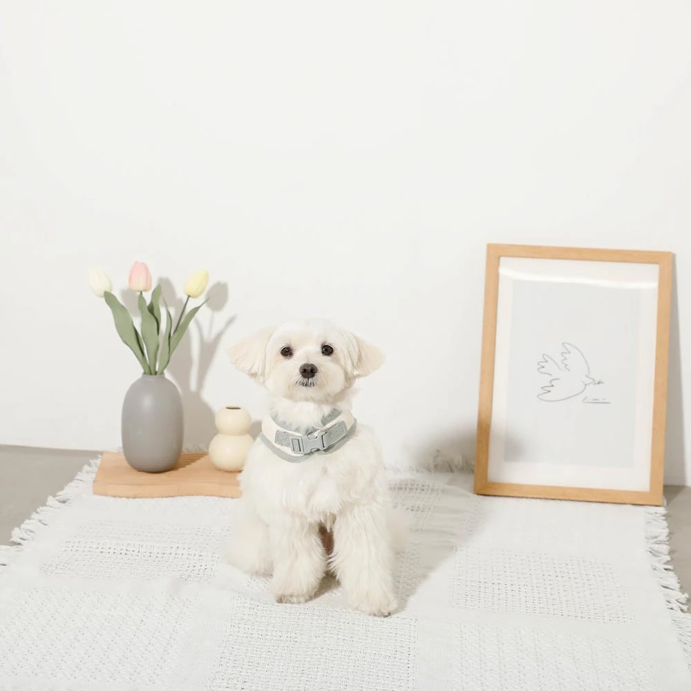 犬 の 服 専門 店 - 犬の服専門店の安全基準を満たした反射機能付きウェア