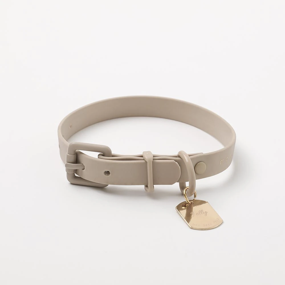 ミニチュア ダックス 服に合わせたソフトラバーカラーとリードのセットコーディネート