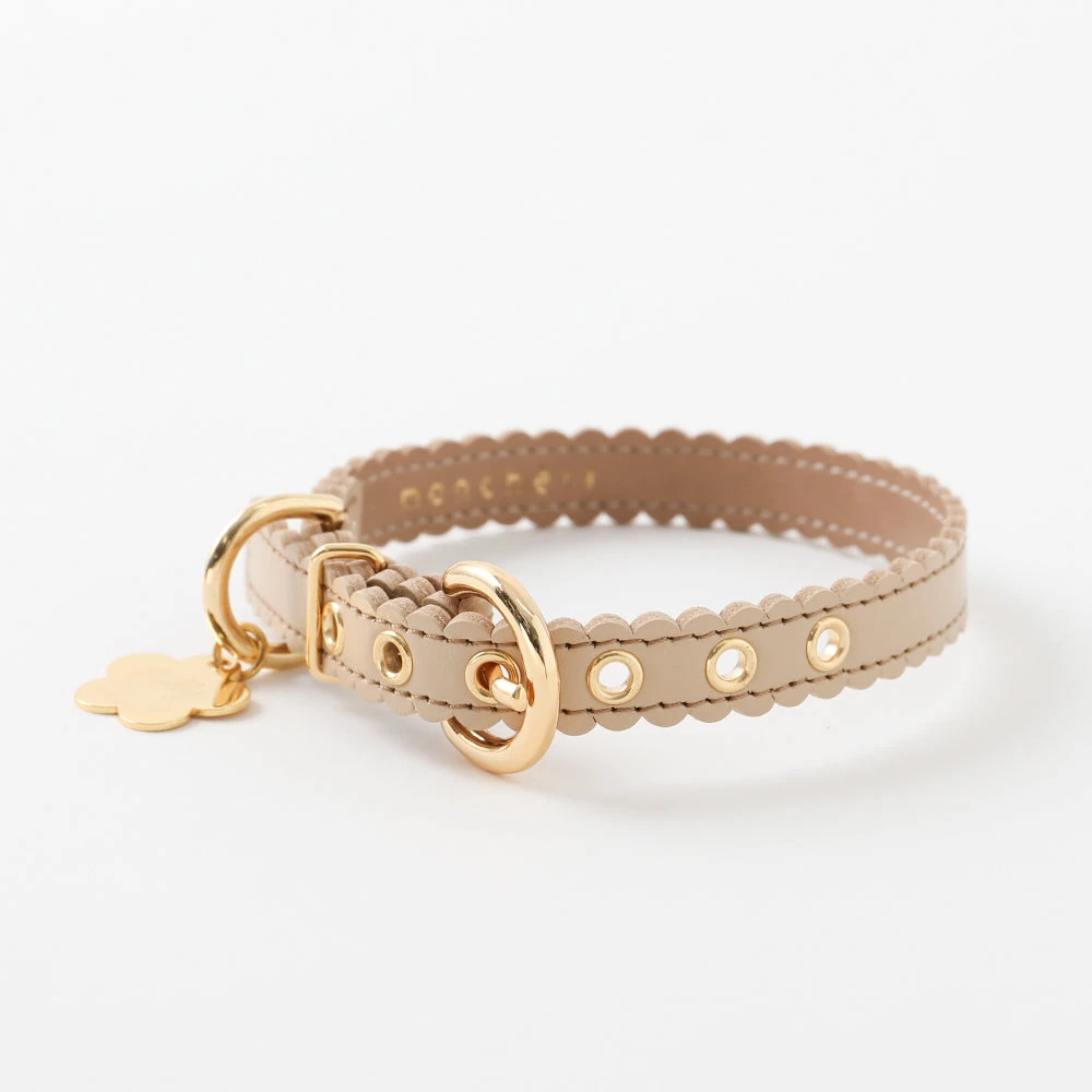 ミニチュア ダックス 服とコーディネートしたなみなみフラワーチャームレザーカラー