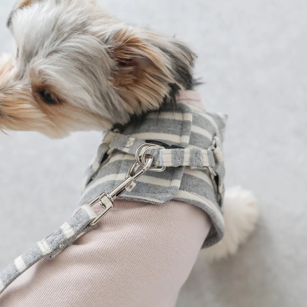 犬 用 鹿 肉 - raw venison meat for dogs nutrition